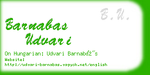 barnabas udvari business card